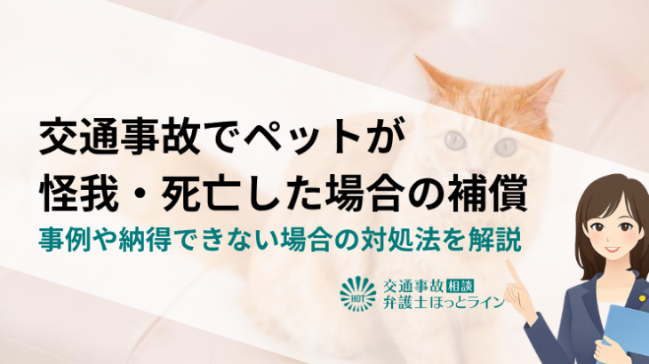 交通事故でペットが怪我・死亡した場合の補償｜事例や納得できない場合の対処法を解説