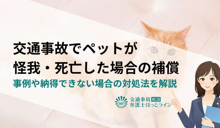 交通事故でペットが怪我・死亡した場合の補償｜事例や納得できない場合の対処法を解説